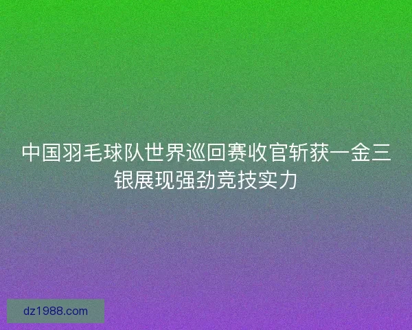 中国羽毛球队世界巡回赛收官斩获一金三银展现强劲竞技实力