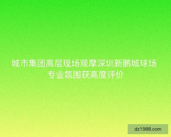 城市集团高层现场观摩深圳新鹏城球场 专业氛围获高度评价 城市集团高层现场观摩深圳新鹏城球场 专业氛围获高度评价